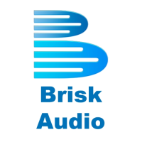 Brisk Audio 2026 Overview: Pricing, Ratings & Details | TechnologyAdvice